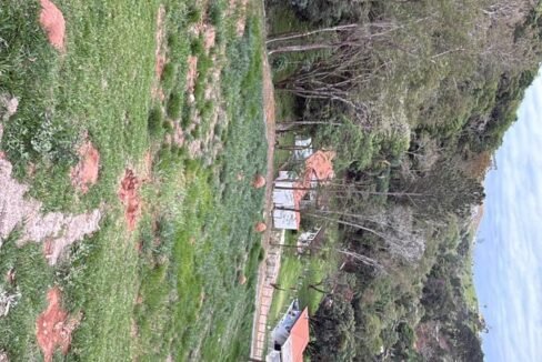 WhatsApp Image 2026-02-22 at 16.58.58 (2)