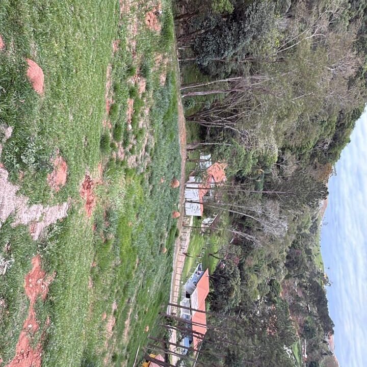 WhatsApp Image 2026-02-22 at 16.58.58 (2)