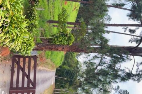 WhatsApp Image 2026-02-22 at 16.58.58 (3)