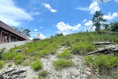 WhatsApp Image 2026-02-23 at 15.37.41 (1)