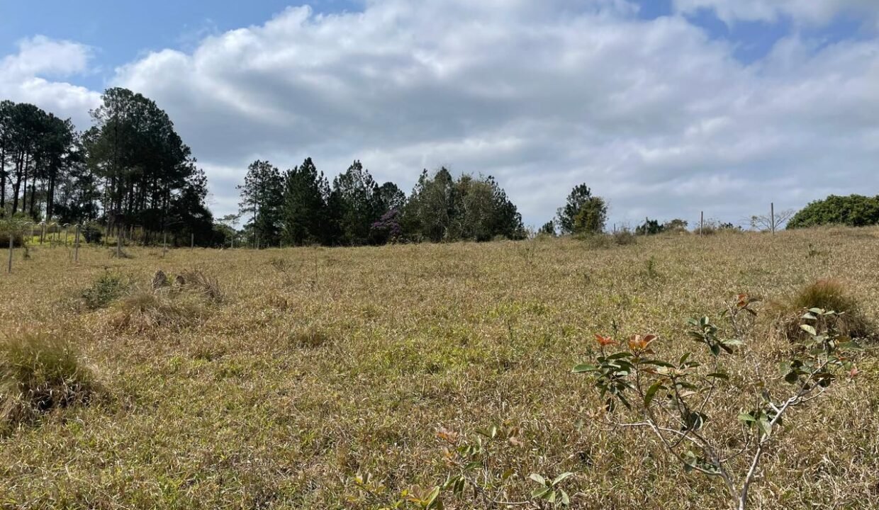 WhatsApp Image 2026-02-23 at 15.38.10 (2)