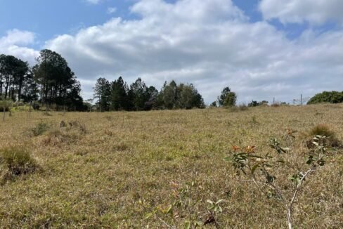 WhatsApp Image 2026-02-23 at 15.38.10 (2)