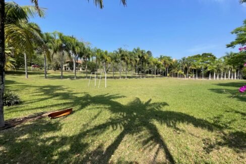 WhatsApp Image 2026-02-23 at 15.39.14 (3)