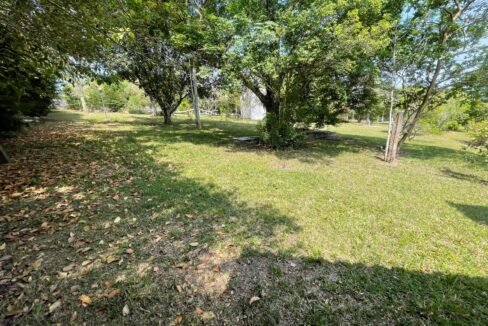 WhatsApp Image 2026-02-23 at 15.39.15 (3)