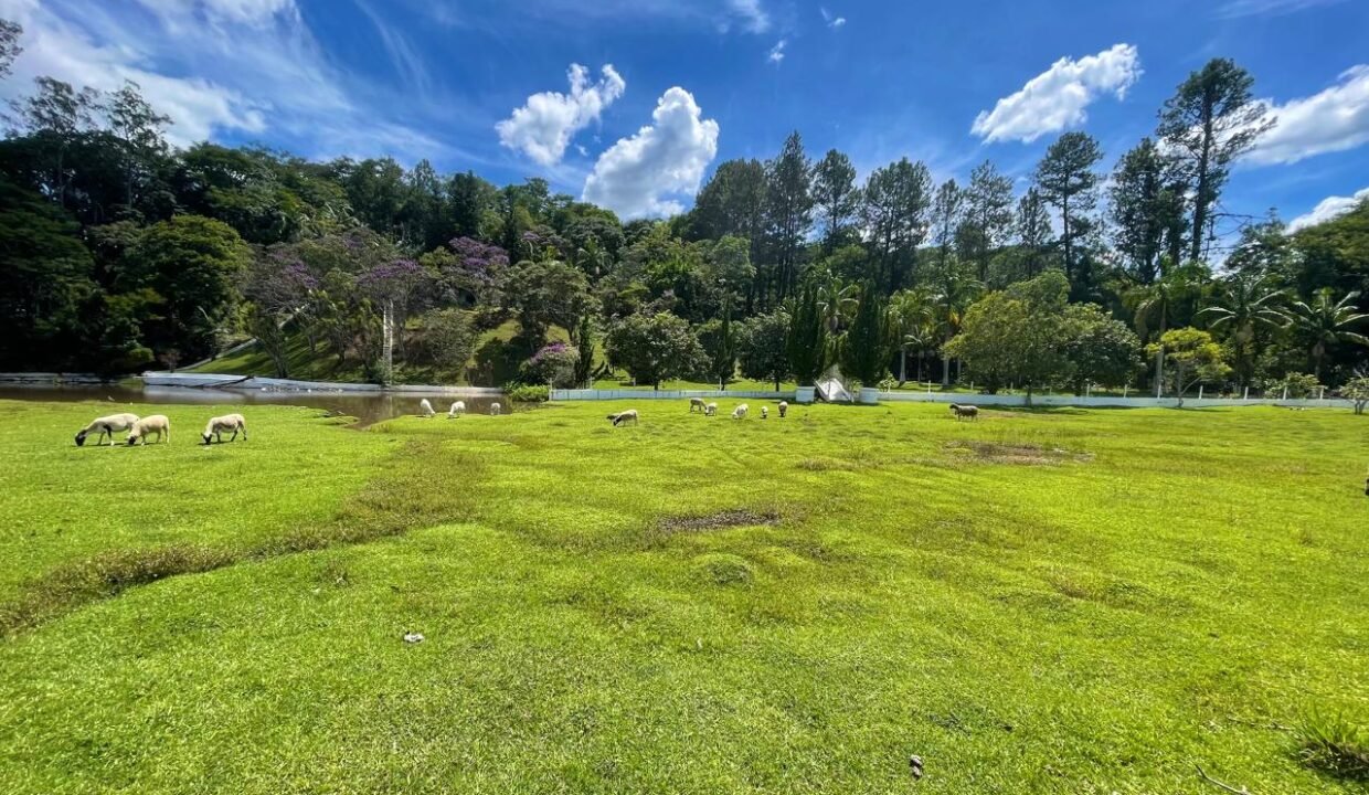 WhatsApp Image 2026-02-23 at 15.39.36 (2)