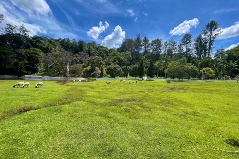 WhatsApp Image 2026-02-23 at 15.39.36 (2)