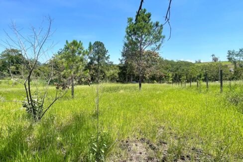 WhatsApp Image 2026-02-23 at 15.40.35 (1)