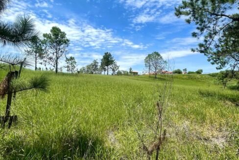 WhatsApp Image 2026-02-23 at 15.40.35 (2)