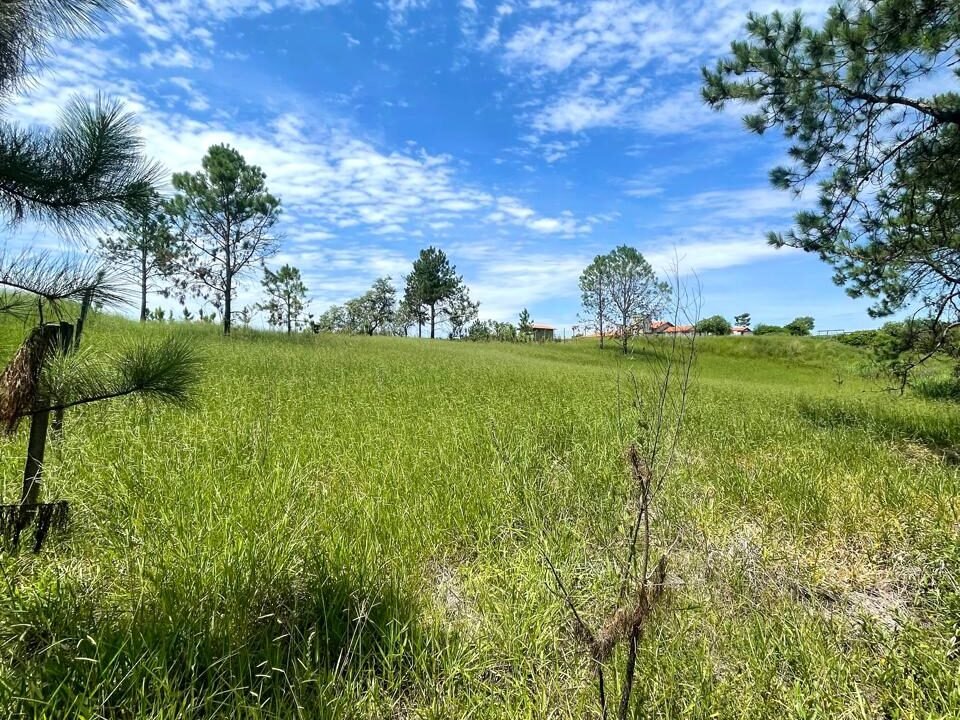 WhatsApp Image 2026-02-23 at 15.40.35 (2)