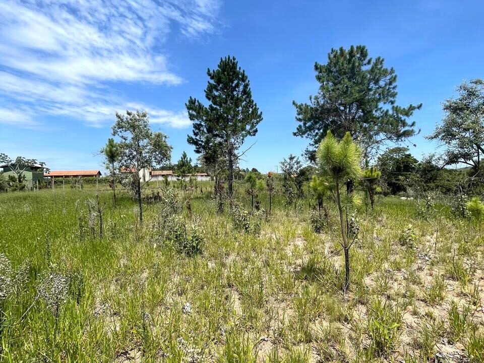 WhatsApp Image 2026-02-23 at 15.40.35