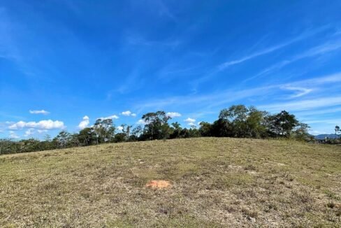 WhatsApp Image 2026-02-23 at 15.41.34