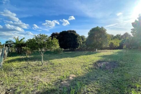 WhatsApp Image 2026-02-23 at 15.41.36 (4)