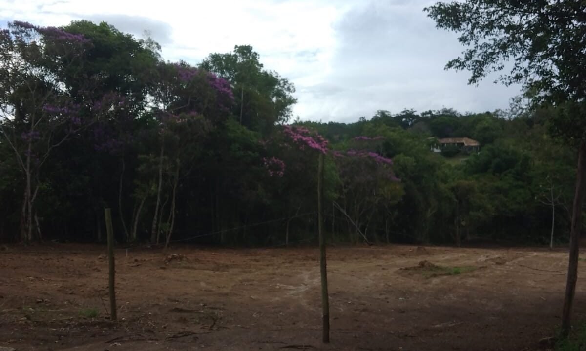 WhatsApp Image 2026-02-23 at 15.42.38