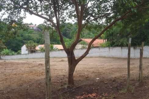 WhatsApp Image 2026-02-23 at 15.42.39 (3)