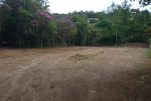 WhatsApp Image 2026-02-23 at 15.42.39