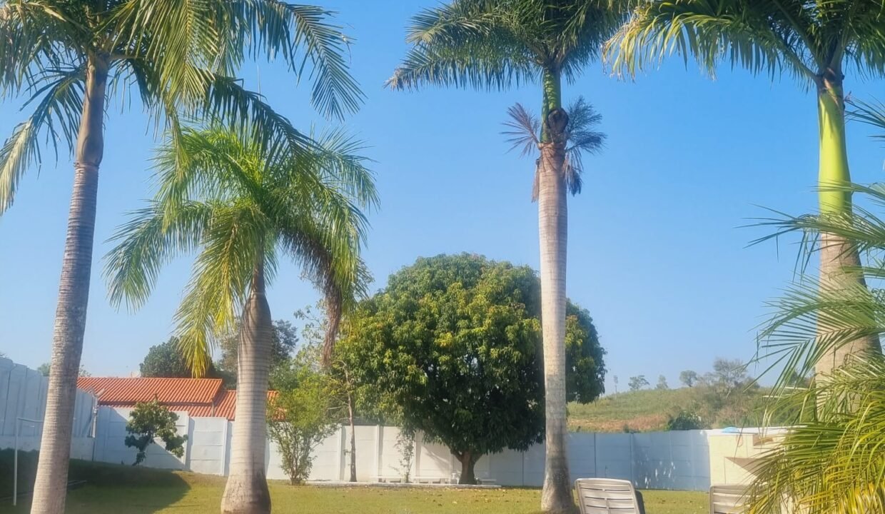 WhatsApp Image 2026-02-23 at 19.46.03 (3)