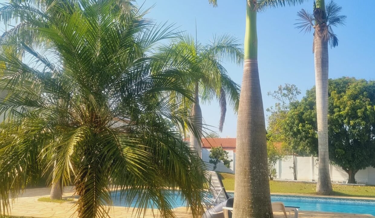 WhatsApp Image 2026-02-23 at 19.46.04