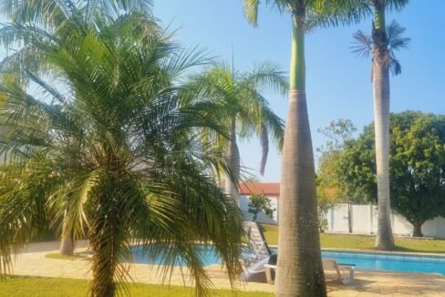 WhatsApp Image 2026-02-23 at 19.46.04