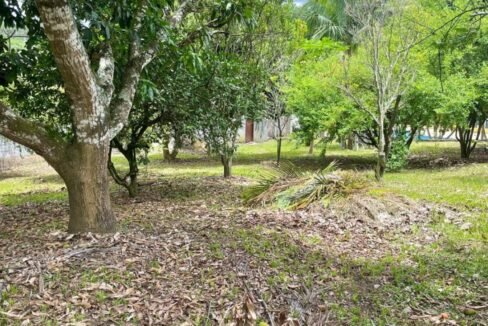 acesso-asfalto-20-minutos-centro