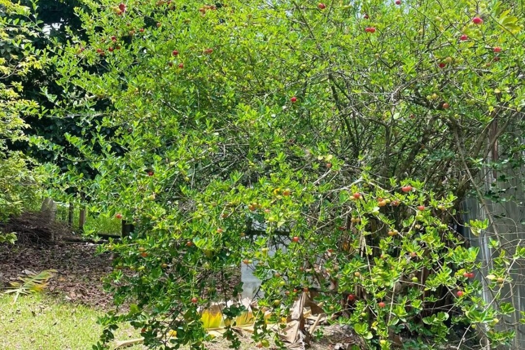 localizacao-estrategica-guararema