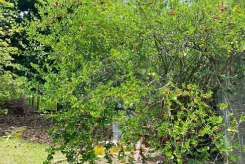 localizacao-estrategica-guararema