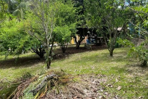 proximo-escolas-mercados-comercios