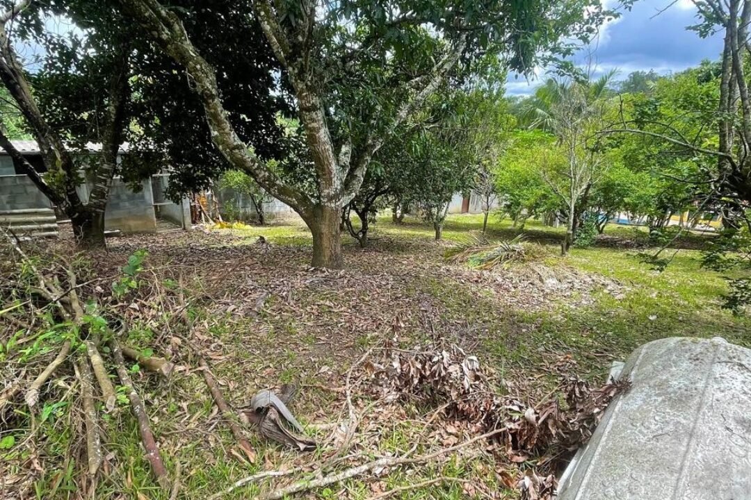 rodovias-dutra-ayrton-senna-3km